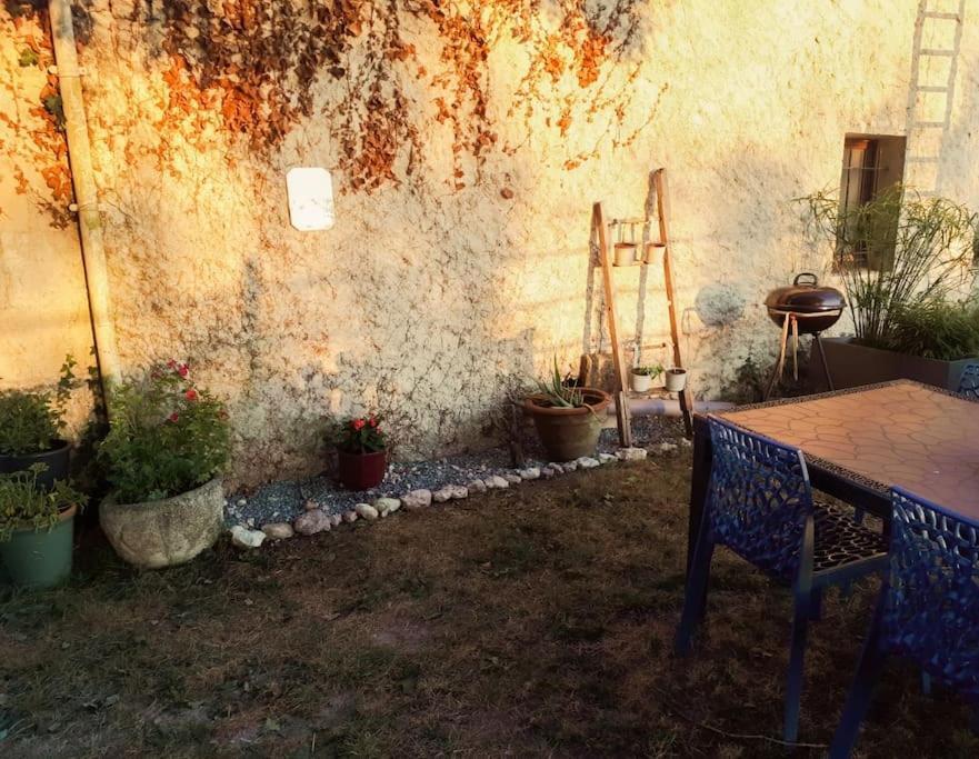 Апартаменты Gite A La Ferme Chaleureux Civrac-de-Blaye Экстерьер фото